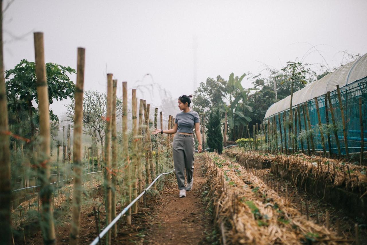 Phoomtada Homestay Wiang Pa Pao Buitenkant foto